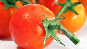 手机号呼叫轰炸app